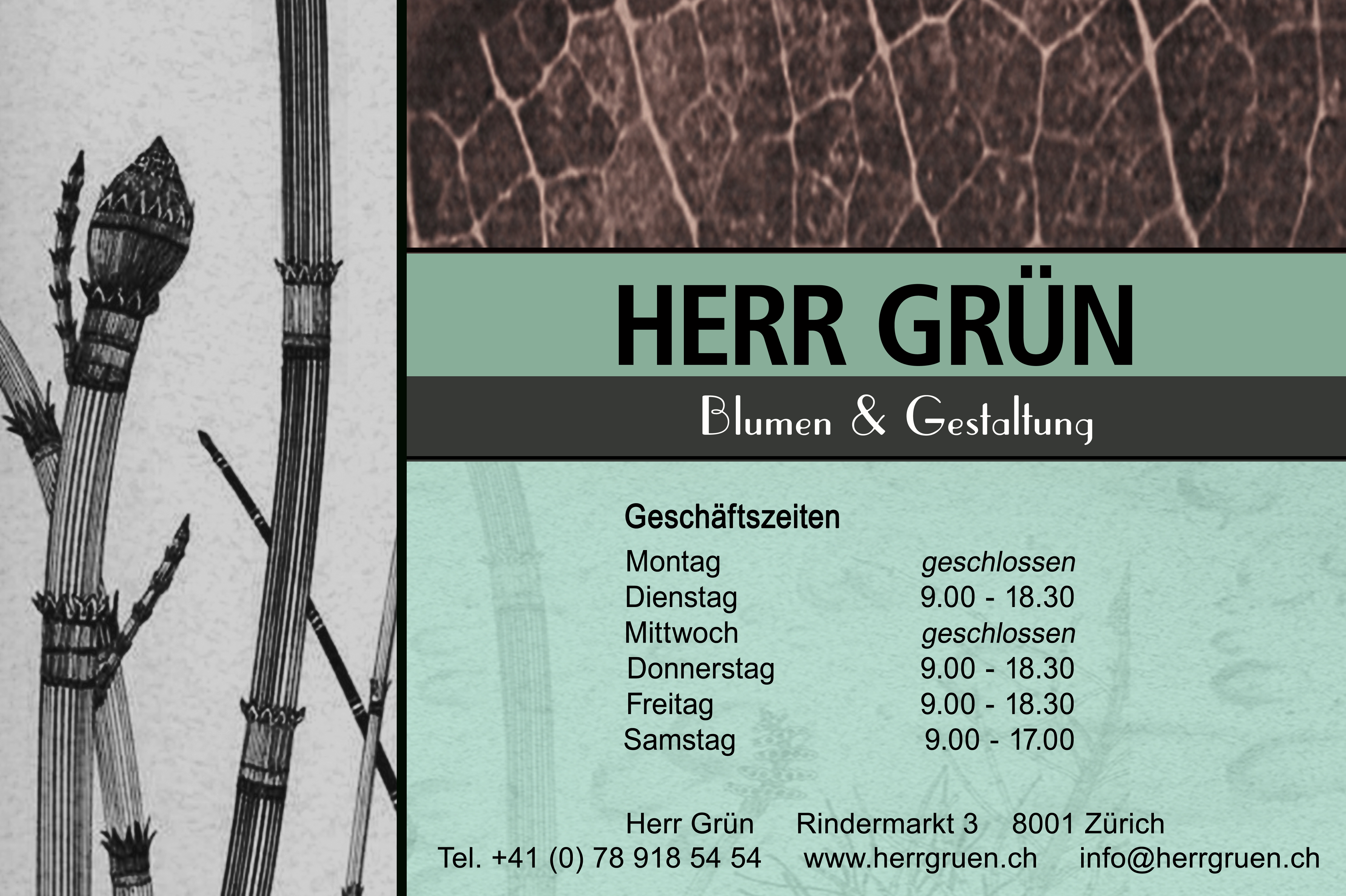 herr gruen